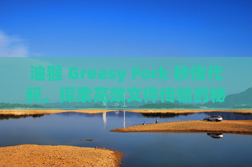 油猴 Greasy Fork 秒传代码，探索高效文件传输的秘密